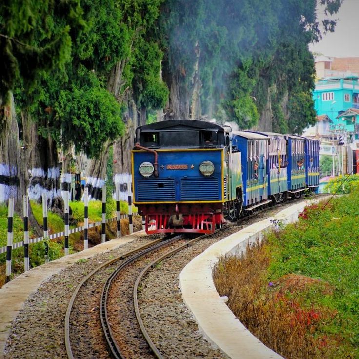 Ooty Tour Package